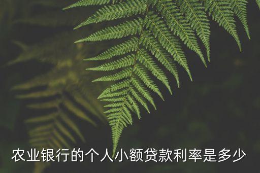 農(nóng)行 小額貸款 利率是多少，農(nóng)業(yè)銀行的個(gè)人小額貸款利率是多少