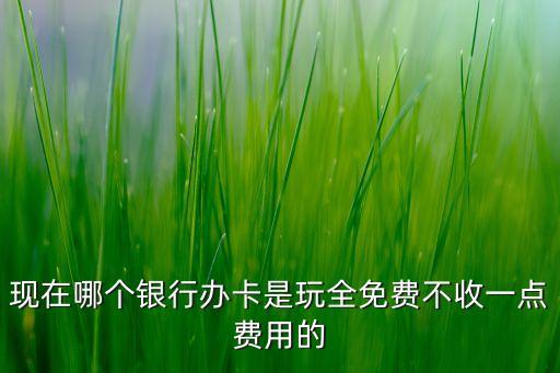 最新什么銀行辦卡不要錢，現(xiàn)在什么銀行辦卡不要錢越詳細越好