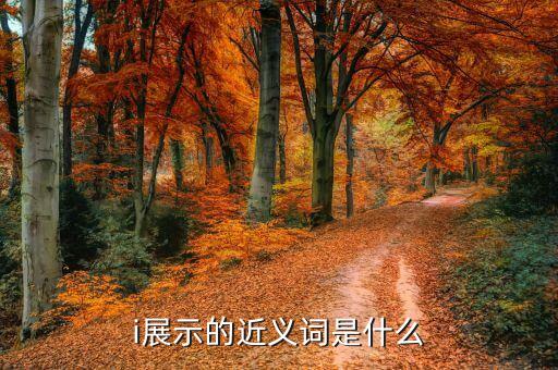 i展示的近義詞是什么
