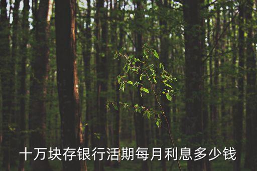十萬(wàn)塊存銀行活期每月利息多少錢(qián)