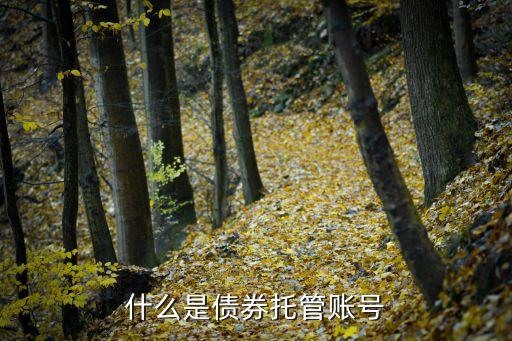 什么是債券托管賬號(hào)