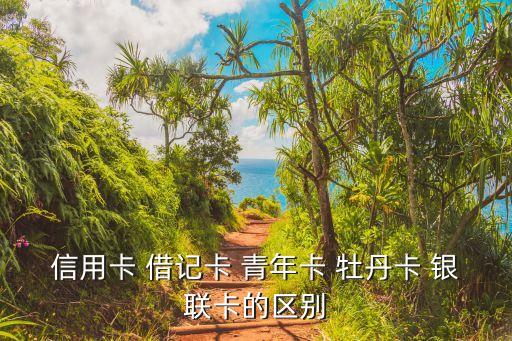 信用卡 借記卡 青年卡 牡丹卡 銀聯(lián)卡的區(qū)別