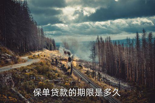 保單貸款的期限是多久