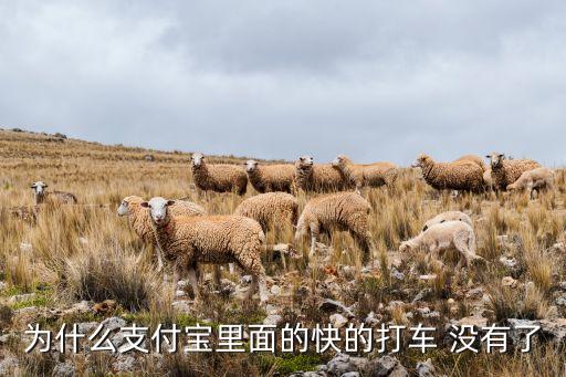 為什么支付寶里面的快的打車 沒(méi)有了