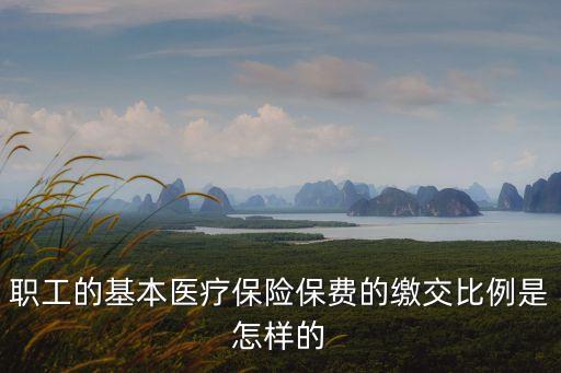 職工的基本醫(yī)療保險保費(fèi)的繳交比例是怎樣的