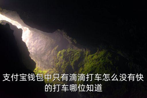 為什么支付寶沒有快的了，支付寶錢包中只有滴滴打車怎么沒有快的打車哪位知道