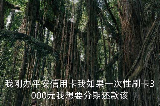 我剛辦平安信用卡我如果一次性刷卡3000元我想要分期還款該