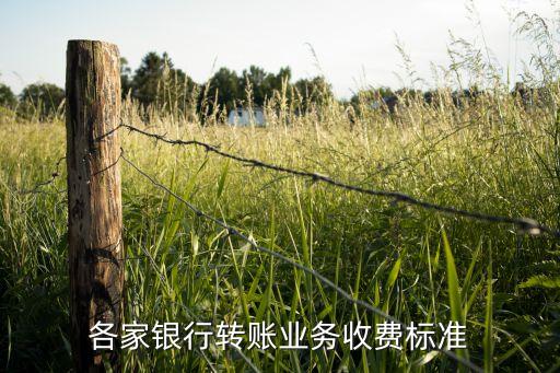 各家銀行轉(zhuǎn)賬業(yè)務(wù)收費(fèi)標(biāo)準(zhǔn)