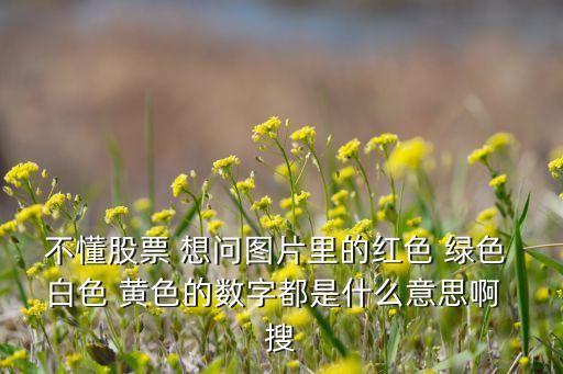 不懂股票 想問(wèn)圖片里的紅色 綠色 白色 黃色的數(shù)字都是什么意思啊  搜