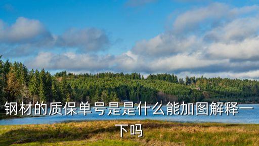 質(zhì)保單是什么，環(huán)境影響評(píng)價(jià)專(zhuān)題時(shí)須出具的質(zhì)保單是什么意思