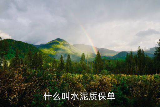 什么叫水泥質(zhì)保單
