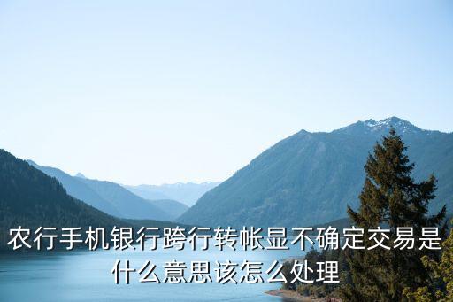 農(nóng)行手機(jī)銀行跨行轉(zhuǎn)帳顯不確定交易是什么意思該怎么處理