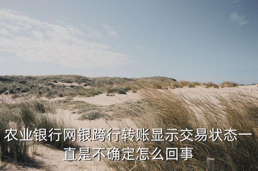 農(nóng)業(yè)銀行網(wǎng)銀跨行轉(zhuǎn)賬顯示交易狀態(tài)一直是不確定怎么回事