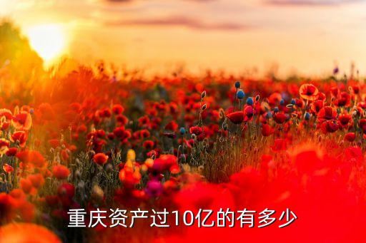 重慶資產過10億的有多少