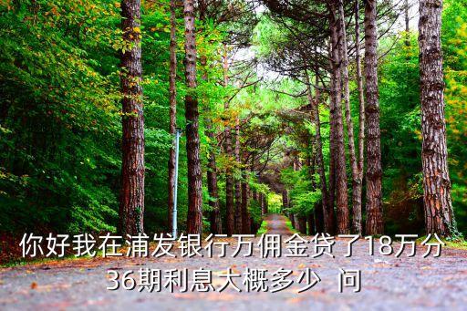 萬用金17萬利息是多少錢，17萬元1年半的利息是多少