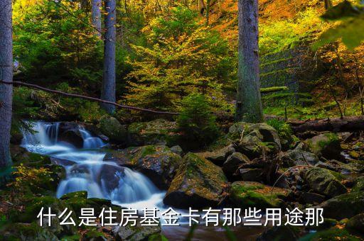 什么是住房基金卡有那些用途那
