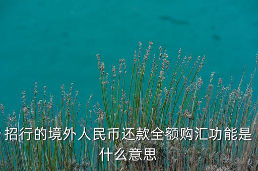 招行的境外人民幣還款全額購(gòu)匯功能是什么意思