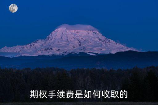 期權手續(xù)費是如何收取的