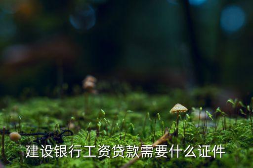 建設(shè)銀行工資貸款需要什么證件