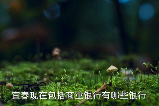 宜春現(xiàn)在包括商業(yè)銀行有哪些銀行