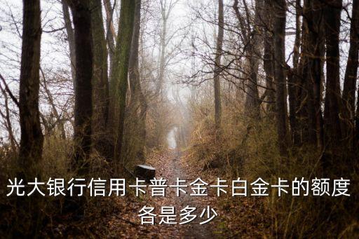 光大銀行信用卡普卡金卡白金卡的額度各是多少