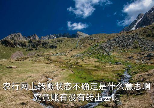 對(duì)公轉(zhuǎn)賬不確定交易什么意思，農(nóng)行網(wǎng)上轉(zhuǎn)賬狀態(tài)不確定是什么意思啊究竟賬有沒有轉(zhuǎn)出去啊