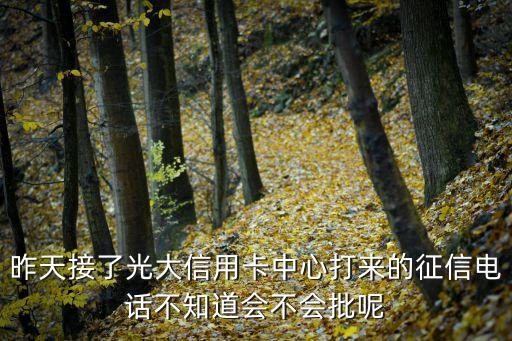 昨天接了光大信用卡中心打來的征信電話不知道會不會批呢