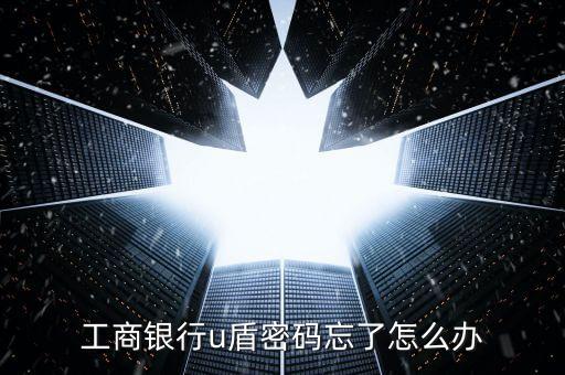 工商銀行u盾密碼忘了怎么辦