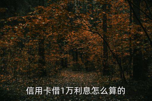 信用卡借1萬利息怎么算的