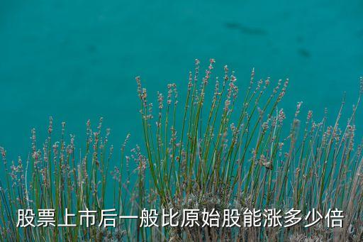 股票上市后一般比原始股能漲多少倍