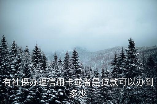 社?？梢再J多少，在外地買房子有一年的社會養(yǎng)老保險能貸款多少錢