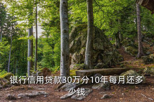 信用貸30萬月供是多少錢，銀行信用貸款30萬分10年每月還多少錢