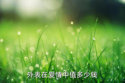 外表在愛情中值多少錢