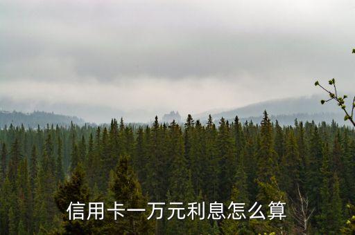 信用卡一萬元利息怎么算