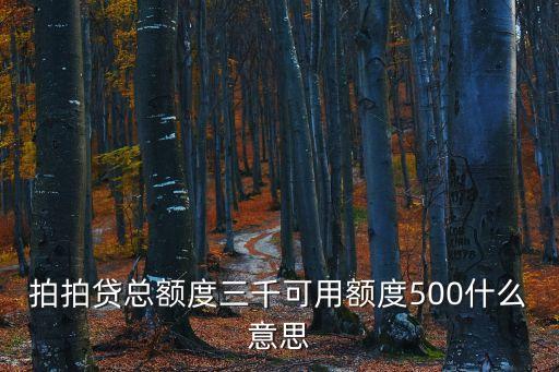拍拍貸總額度三千可用額度500什么意思