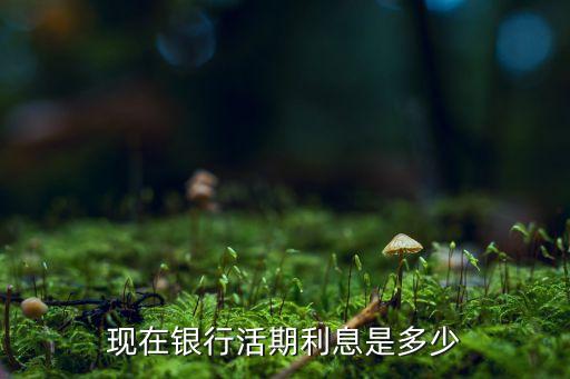 現(xiàn)在銀行活期利息是多少