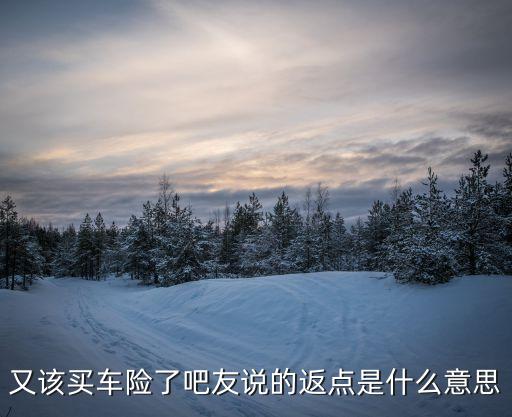 車險(xiǎn)返點(diǎn)20是什么意思，車險(xiǎn)返點(diǎn)是什么意思