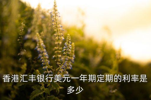 香港匯豐銀行美元一年期定期的利率是多少