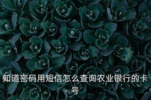 知道密碼用短信怎么查詢農(nóng)業(yè)銀行的卡號