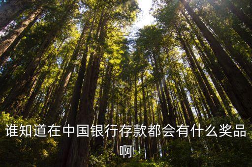 誰知道在中國銀行存款都會有什么獎品啊