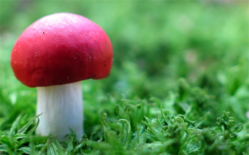 工行網(wǎng)銀為什么登不上(工行網(wǎng)銀登不上去)