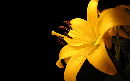 為什么股票不能賣出(股票為什么不能賣出去)
