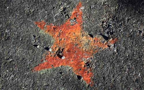 為什么一帳通開(kāi)戶(hù)失敗(為什么我開(kāi)戶(hù)顯示開(kāi)戶(hù)失敗呢？)
