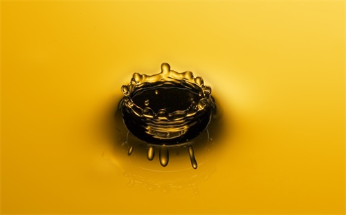 工行網(wǎng)銀為什么登不上(工行網(wǎng)銀登不上去)